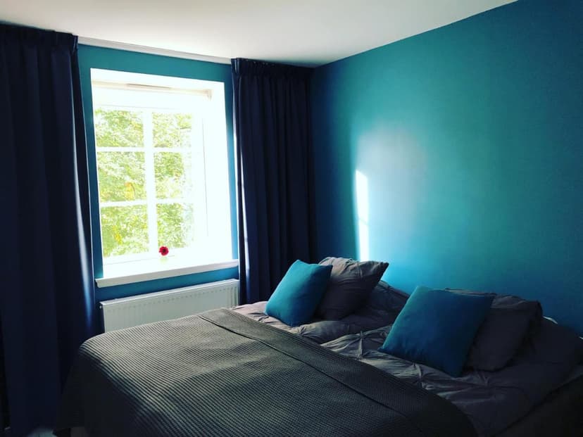 Bedroom with teal walls, dark bedding, and bright window view of green trees.