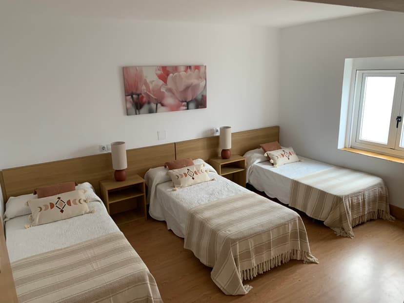 Triple bedroom with three single beds, wood headboards, and floral wall art in Albergue Manuel.