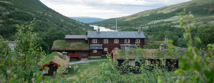 Log cabins with grass roofs at Bjørnhollia nestled in green, forested mountains near a lake.