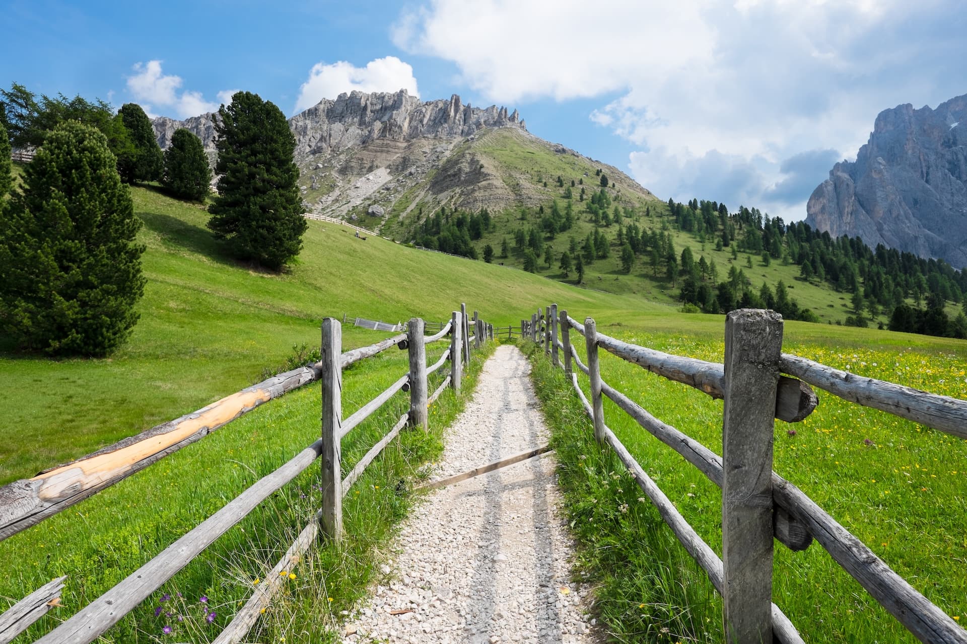Gravel path bordered by wooden fence through green alpine meadow toward rocky mountains