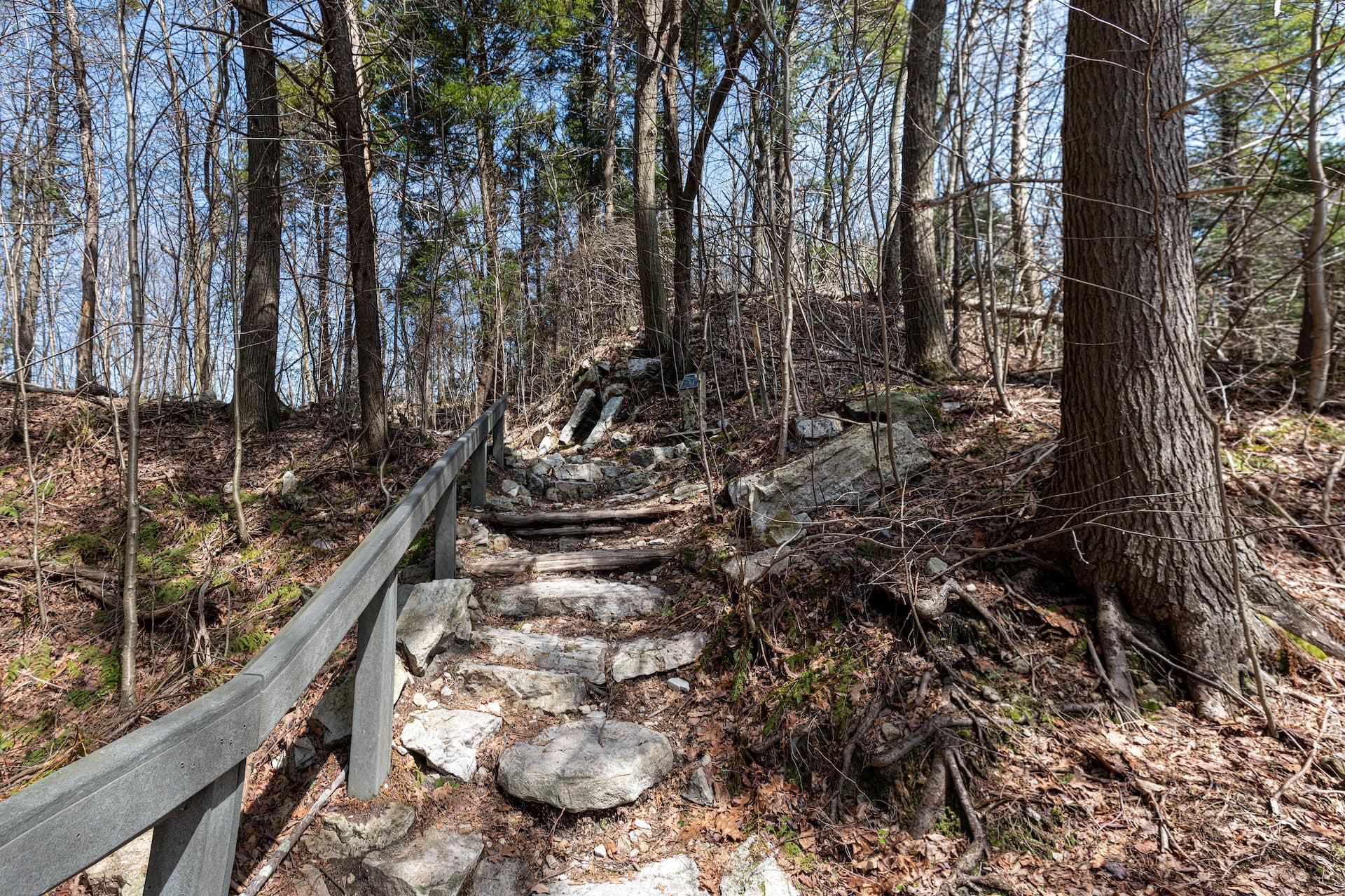 Rocky hiking trail ascending through leafless woods with a wooden handrail on the left