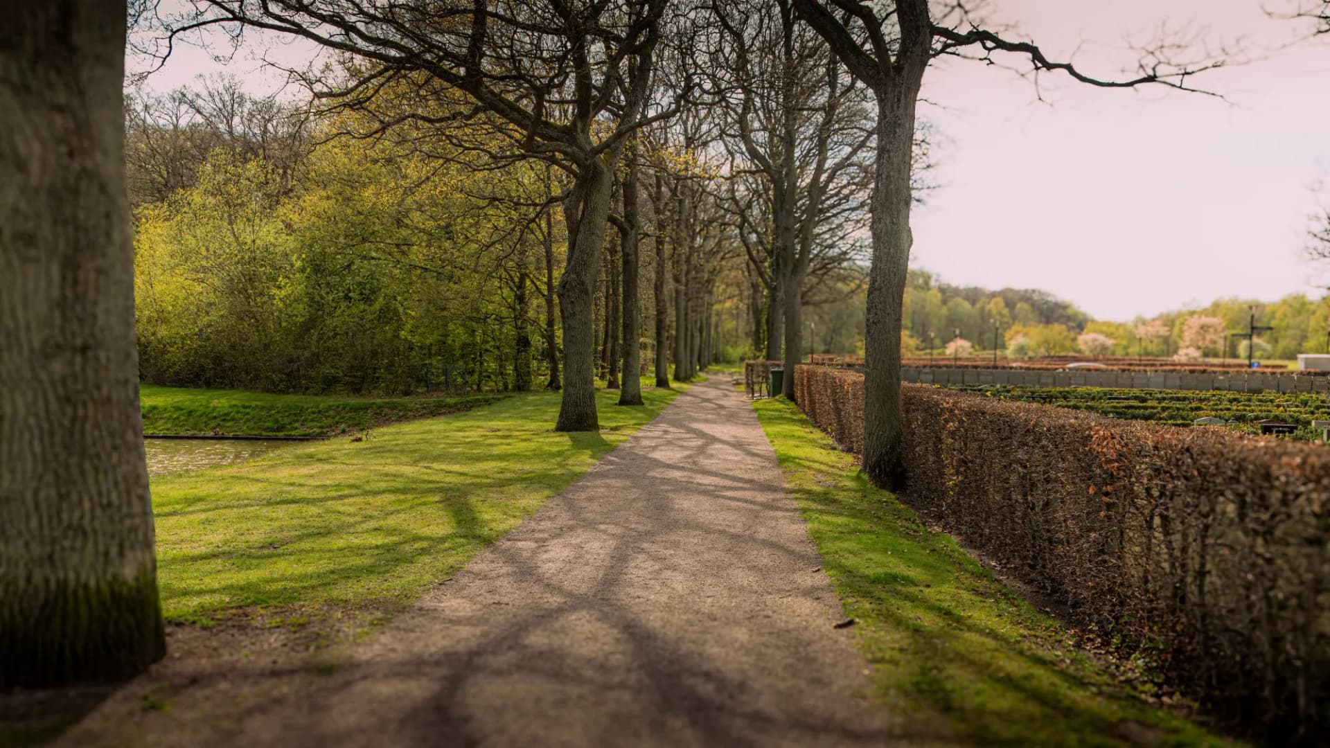 A path near a forest called Pålsjö in Helsingborg, Sweden.