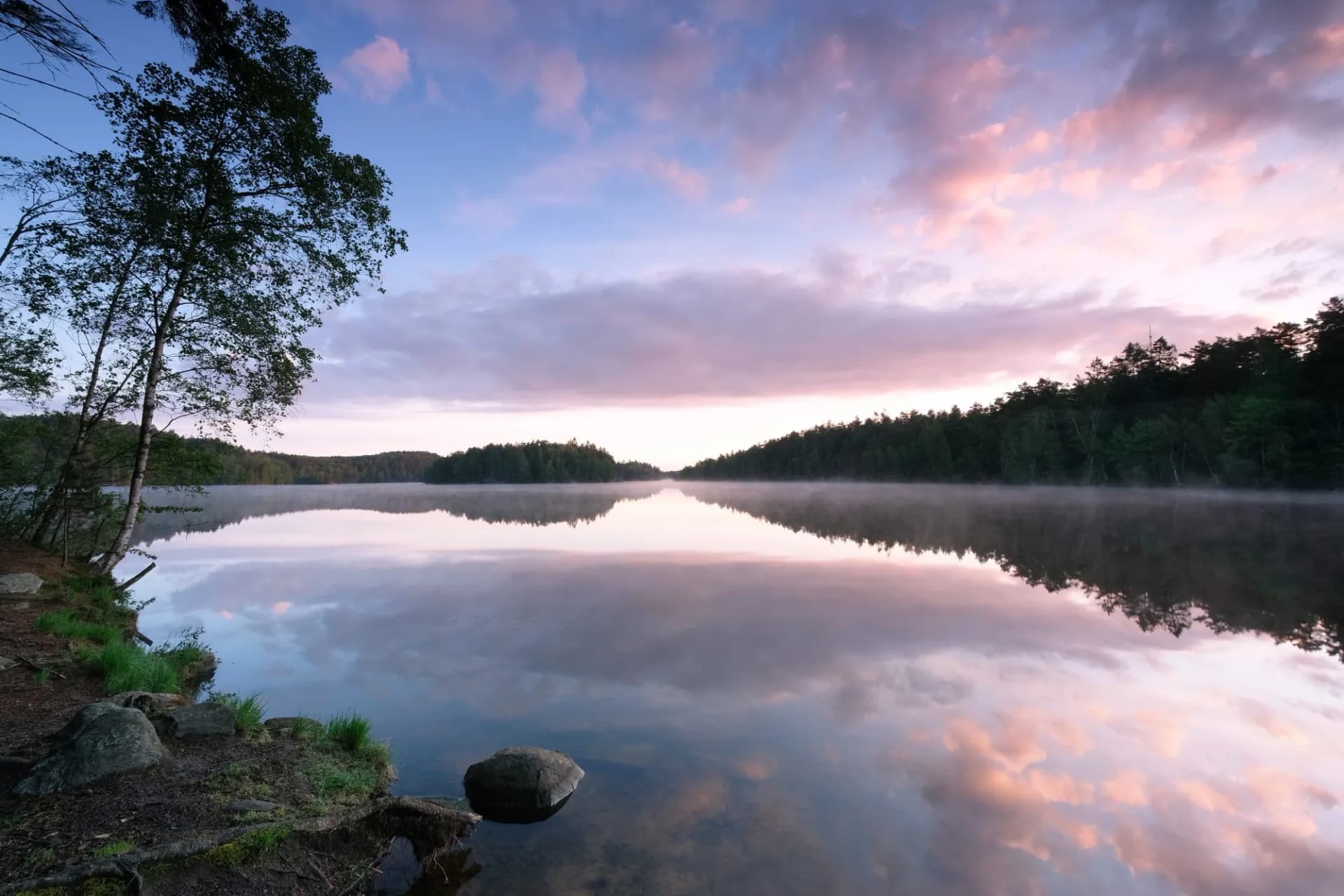 Calm lake with mist at sunrise reflecting pink clouds and surrounding forest in Delsjön, Gothenburg.