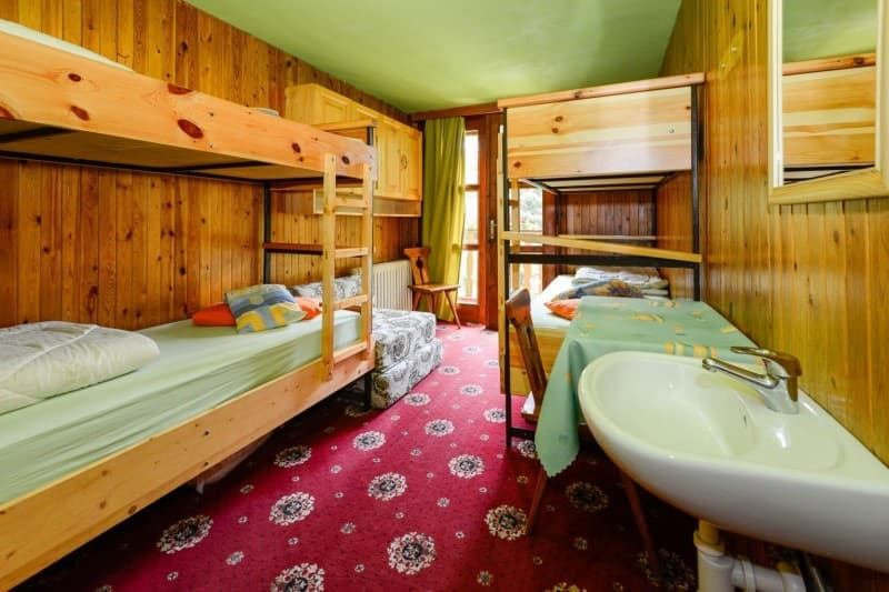 Bunk beds and sink in a rustic room with wood paneling and red patterned carpet
