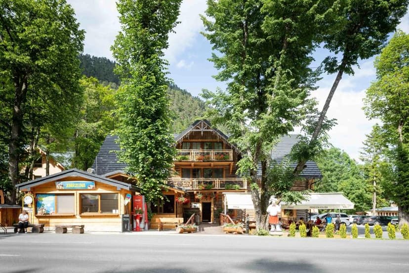 Wooden pension building with balconies nestled among tall trees near a forested mountain.