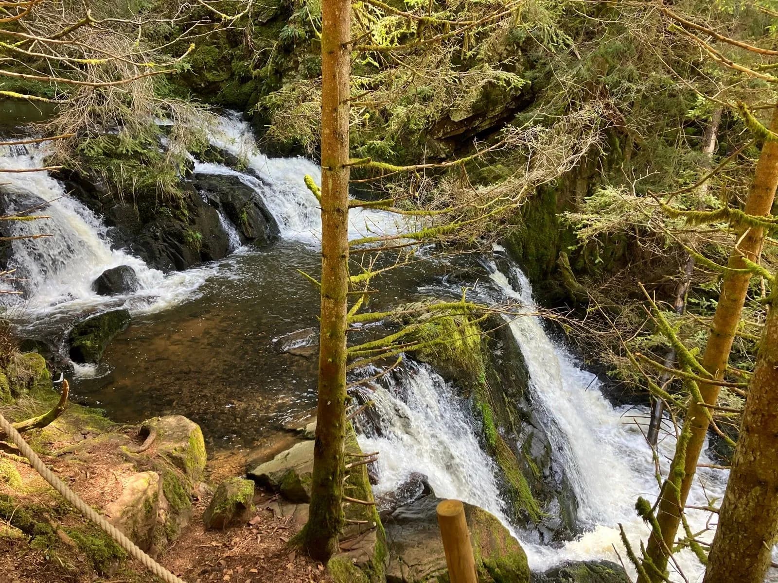 Waterfall cascading over mossy rocks through dense green forest with rope railing.