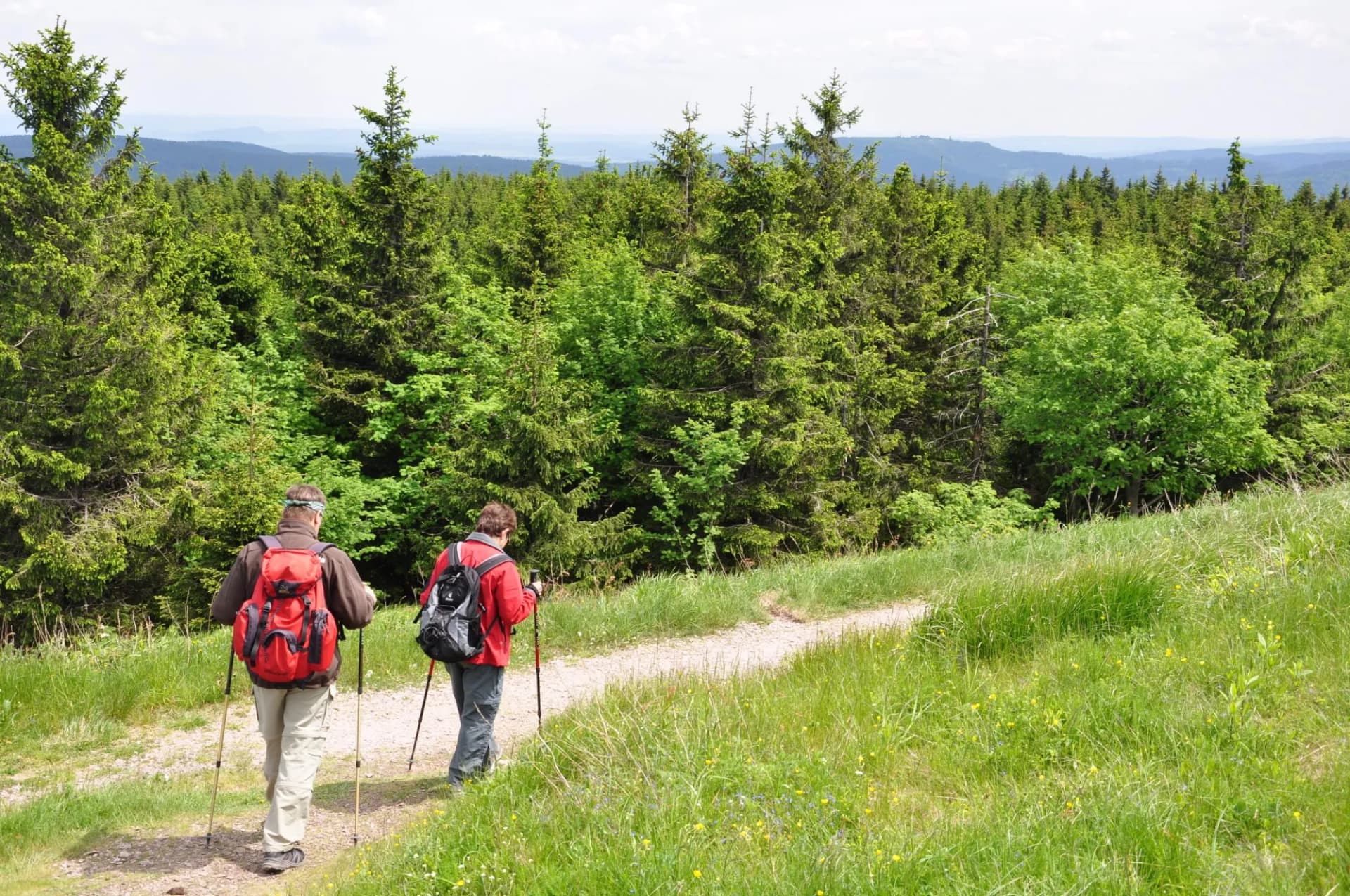 Wandern im Thüringer Wald