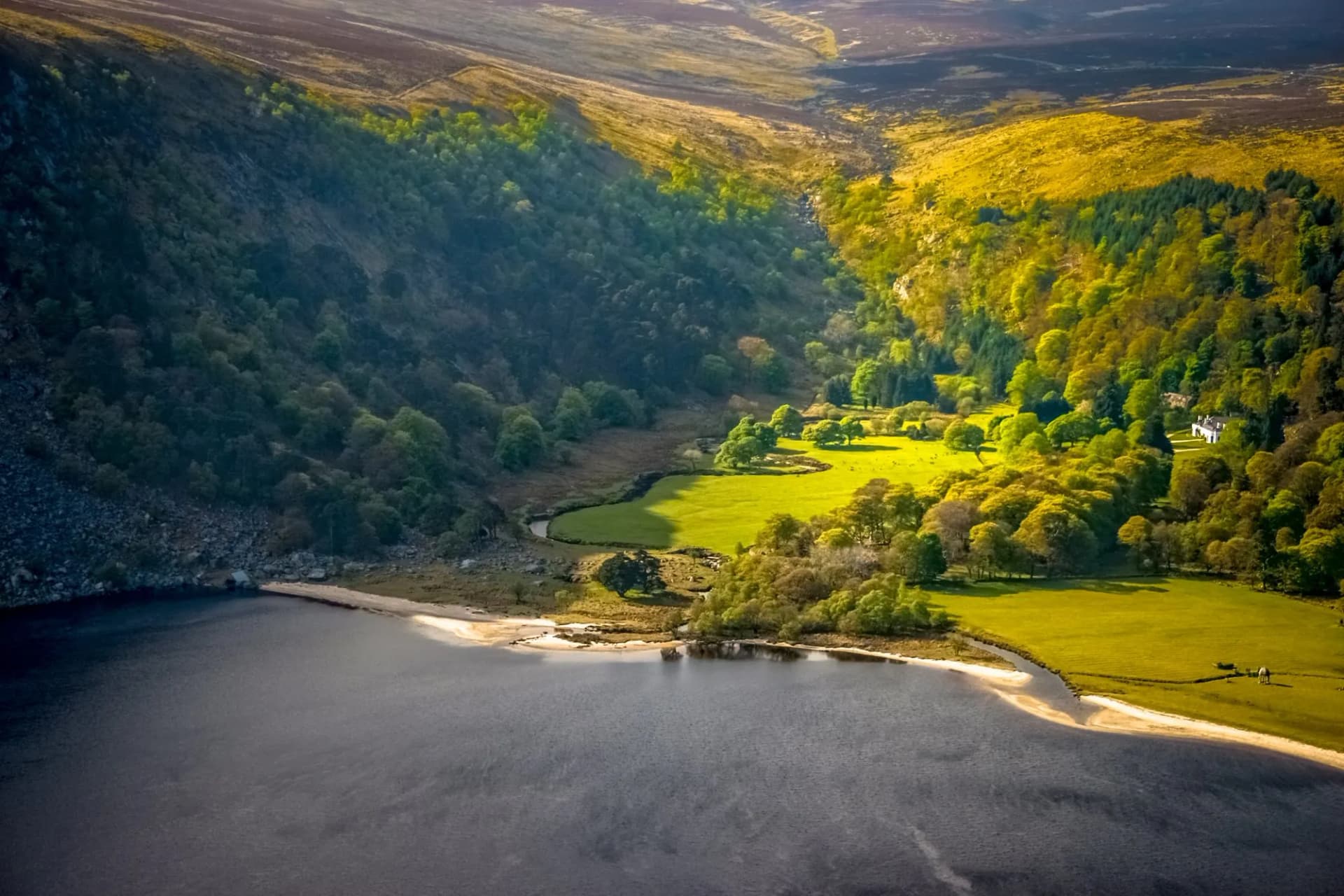 Lough Tay with dark water, bright green fields, and forested mountainsides in Wicklow Mountains National Park.