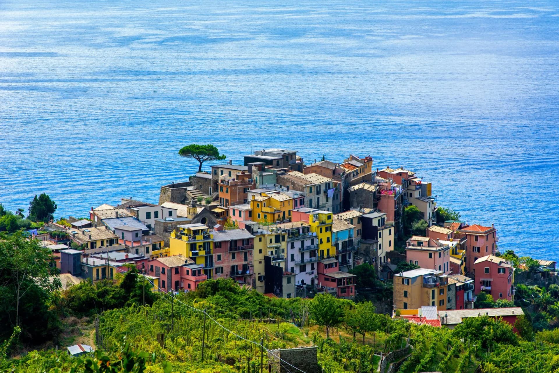 Colorful houses of Corniglia in Cinque Terre perched above the bright blue Ligurian Sea.