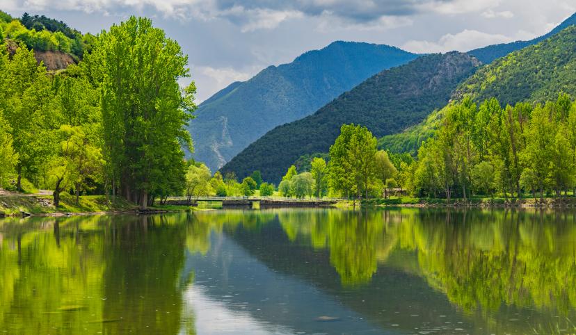 Aiguamolls de l'Empordà image 1