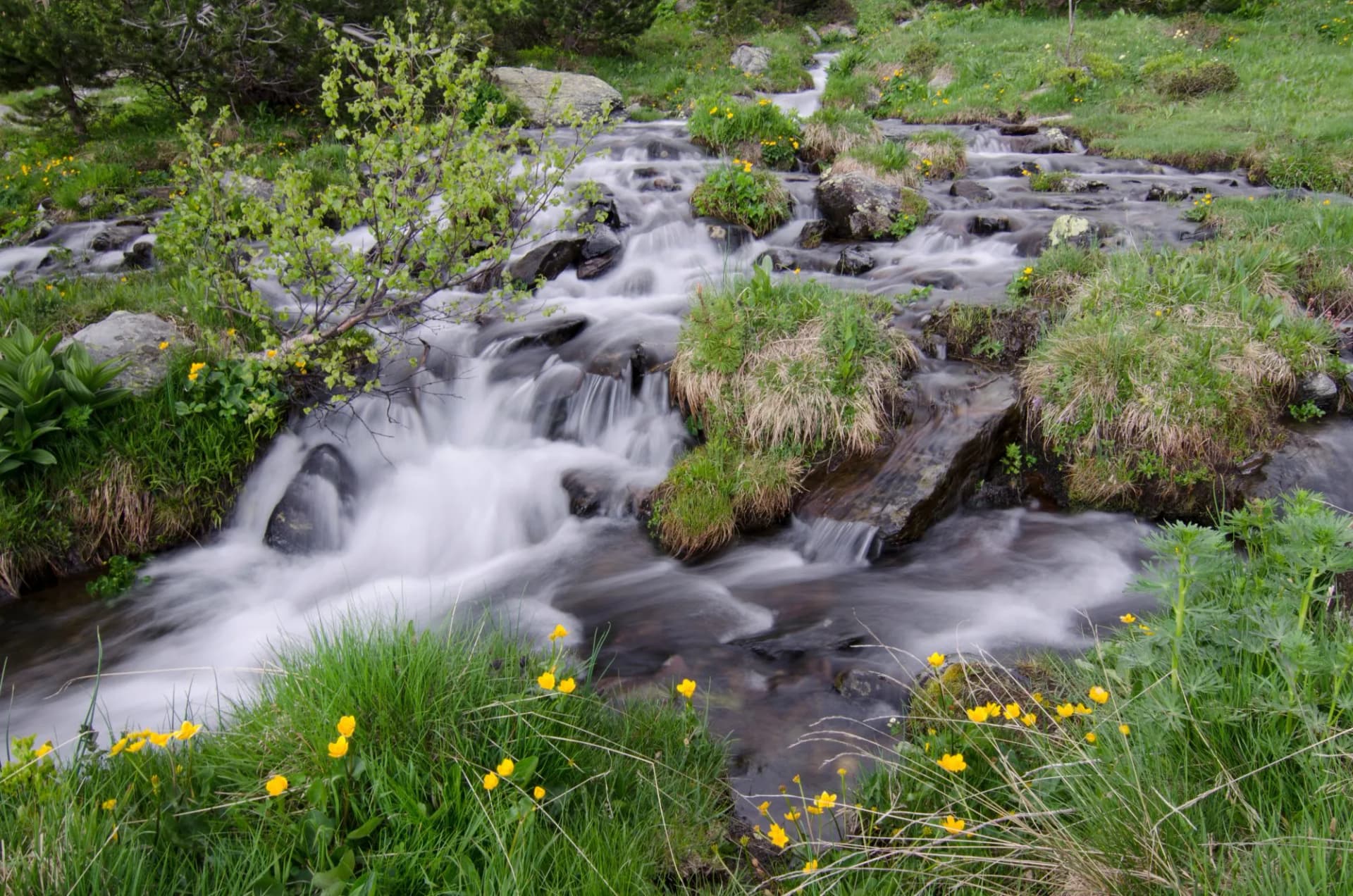 Parque Natural Valle de Sorteny (Andorra)