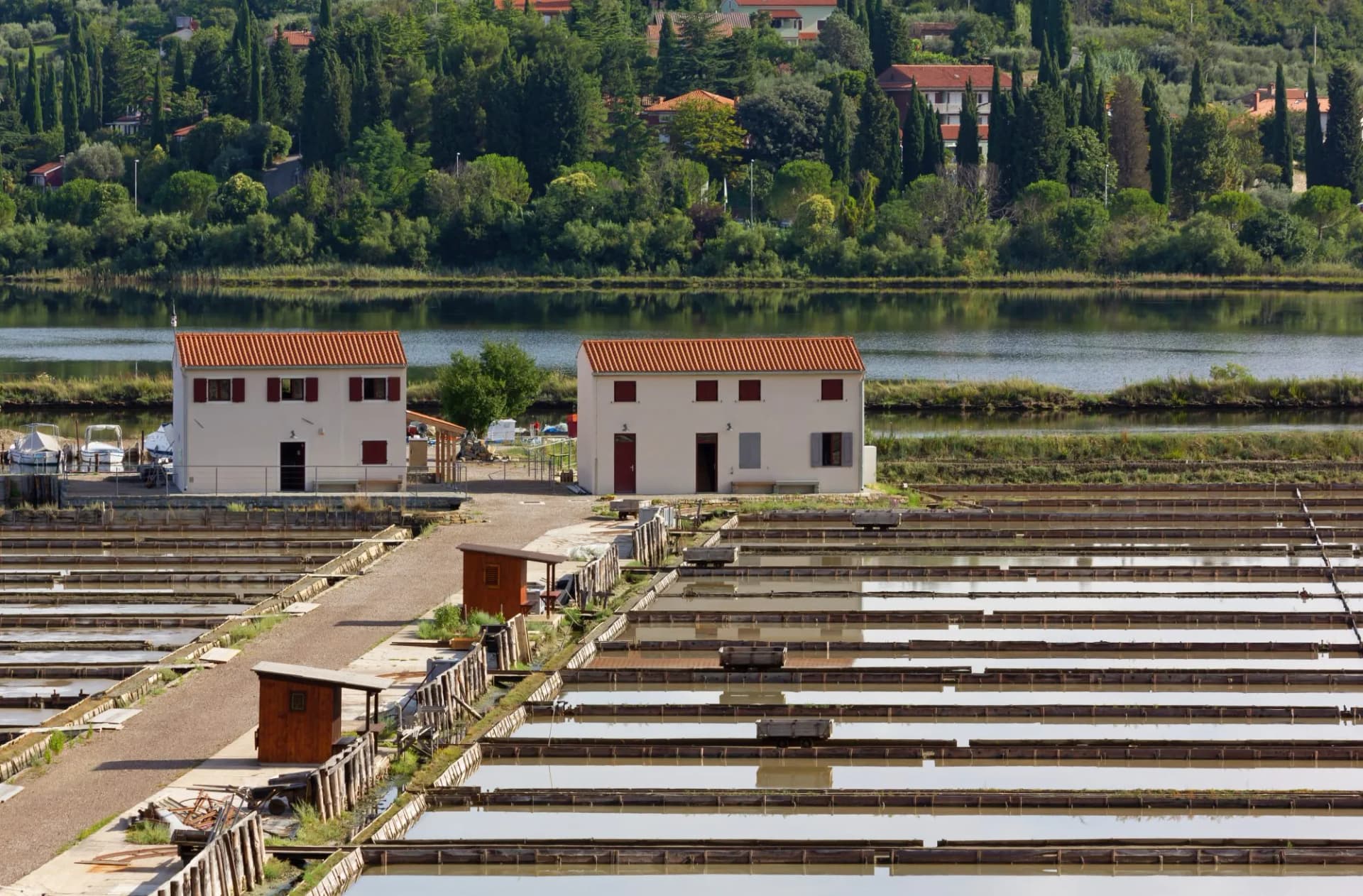 Strunjan salt pans with white buildings, water channels, and green hills in the background.