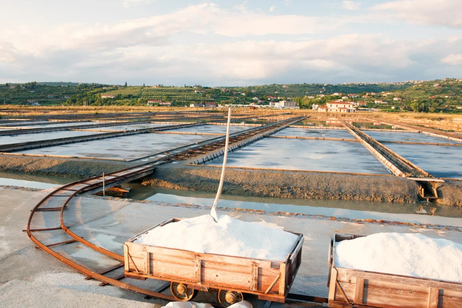 Harvesting sea salt at Secovlje salt plants, Slovenia.