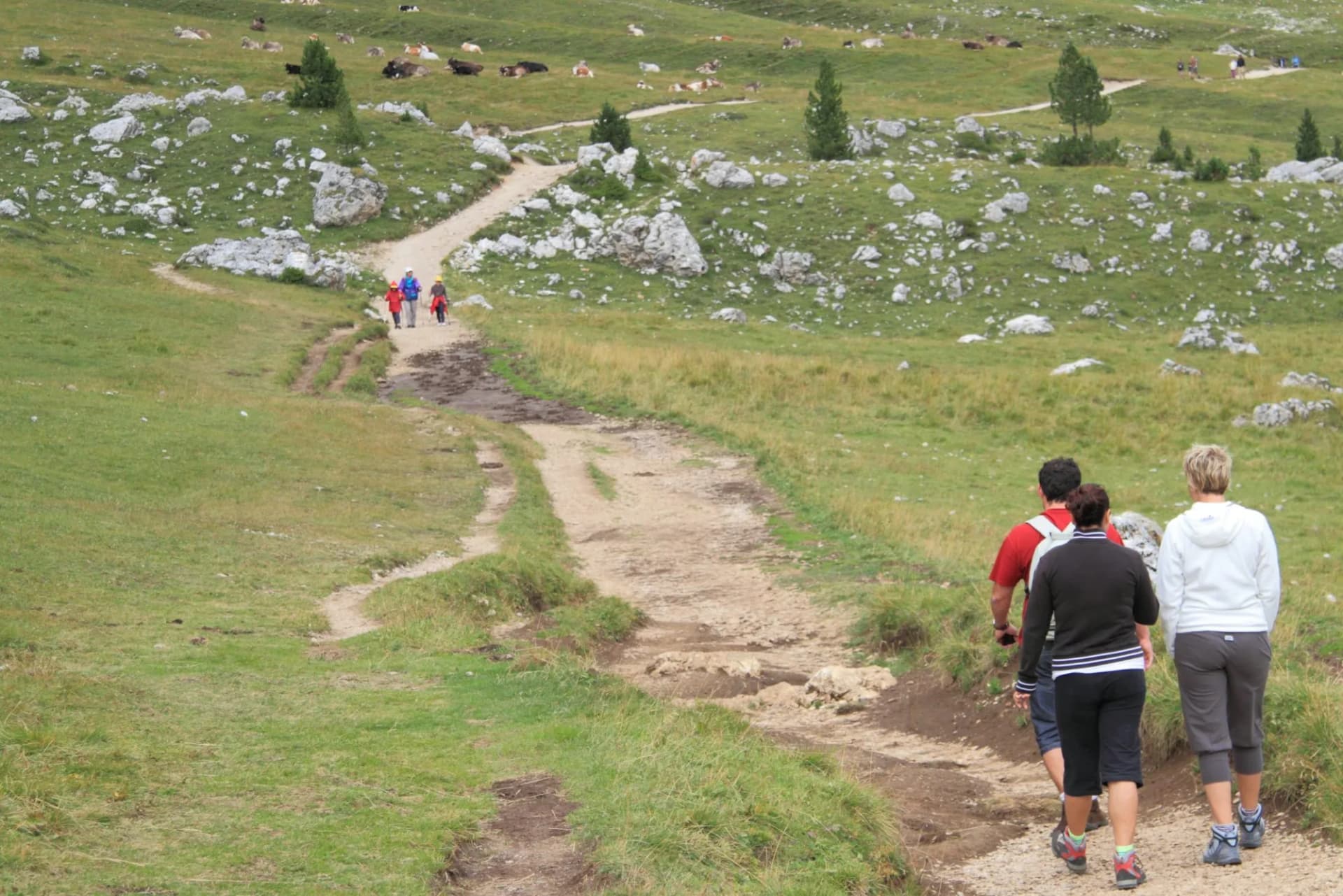 Gruppo di escursionisti su un sentiero dolomitico