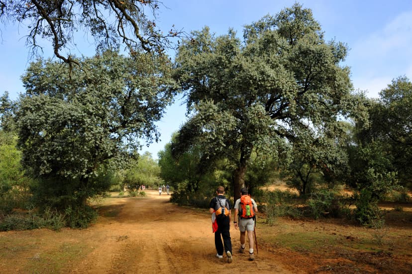 Senderismo, Vía de la Plata