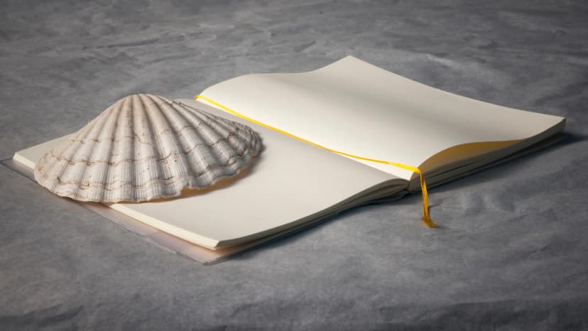 Concha de vieira sobre cuaderno en blanco 