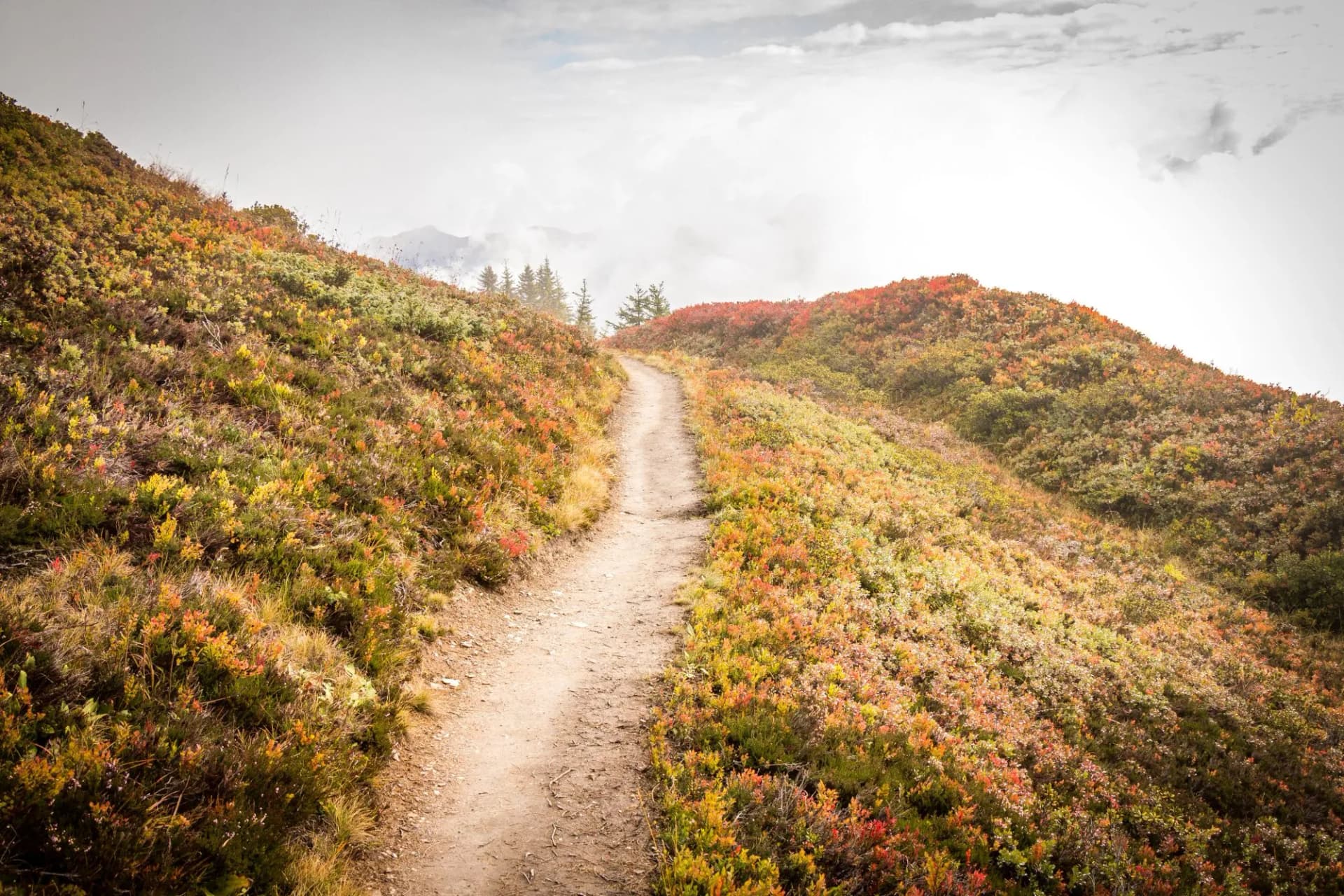 morning in the mountains, autumn colours, alps, hiking, gastein, dorfgastein, fulseck, austria