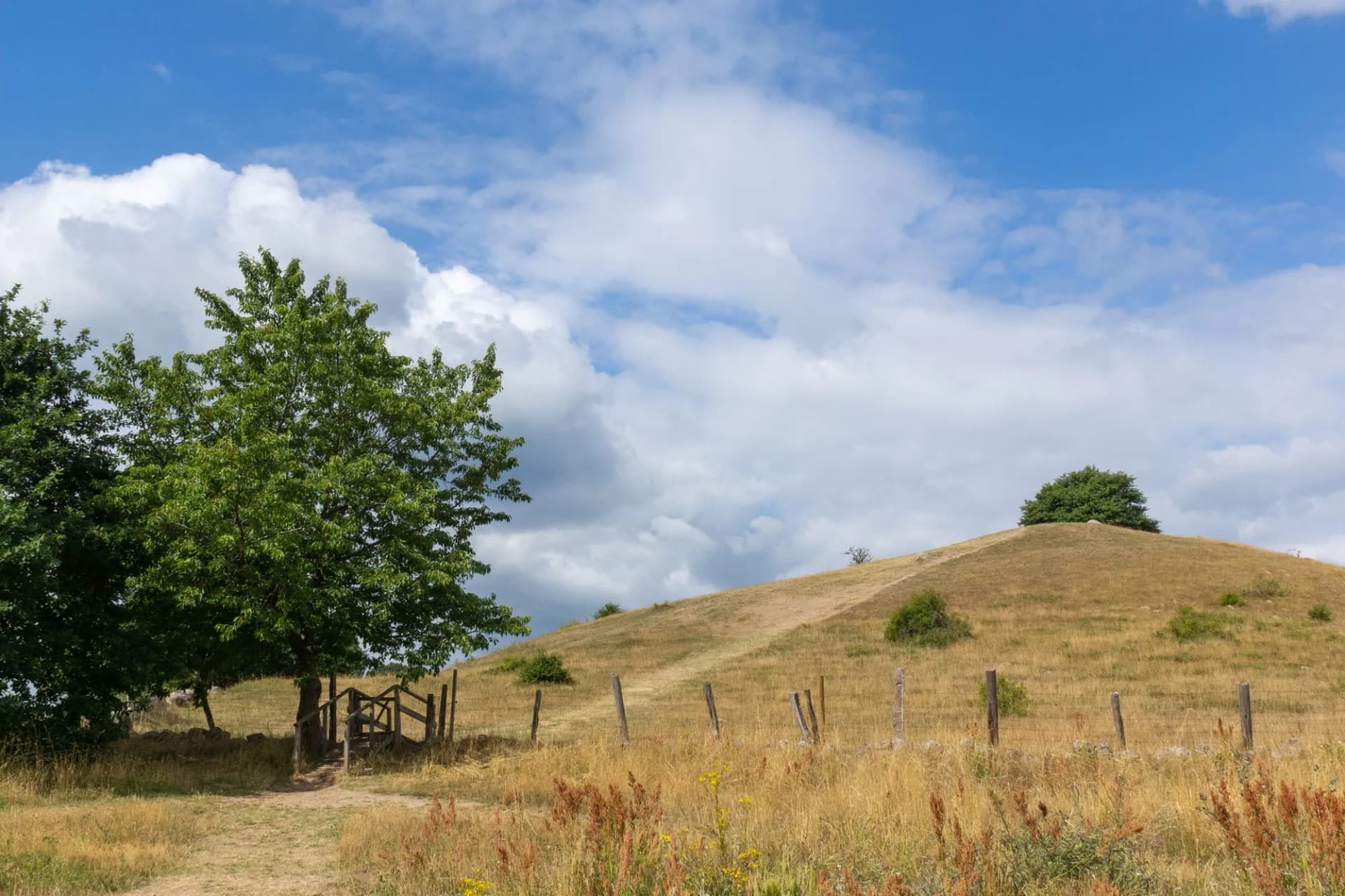 brösarp, tomelilla, scanie,suède,scandinavie,sud,colline,paysage, cote, vue,pente,valloné,collines, prairie, pâturage,région, beauté, naturelle,nature,flore, steppe,sauvage,herbe,végétation