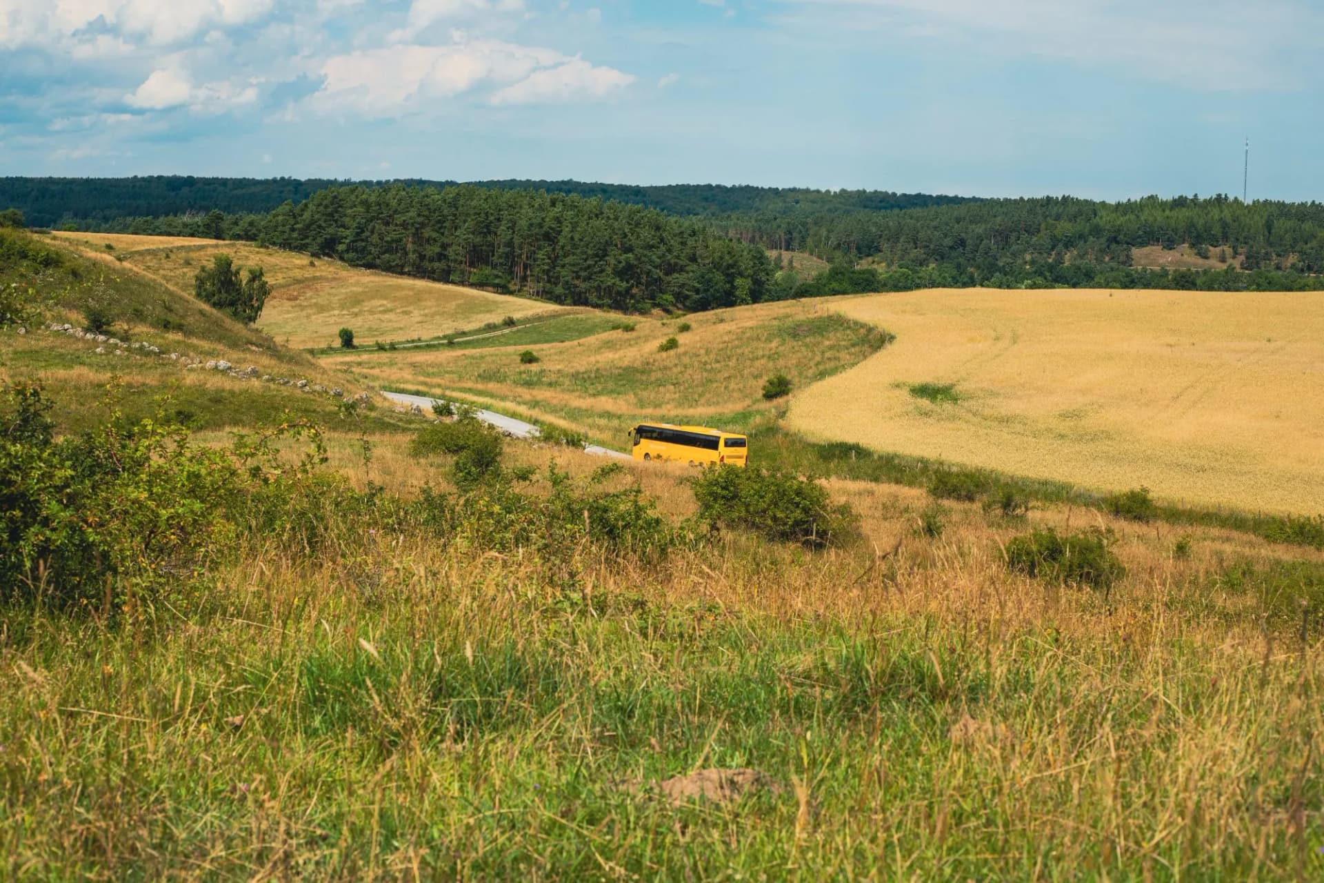 Brösarp's slopes at Österlen in Skåne, Sweden
