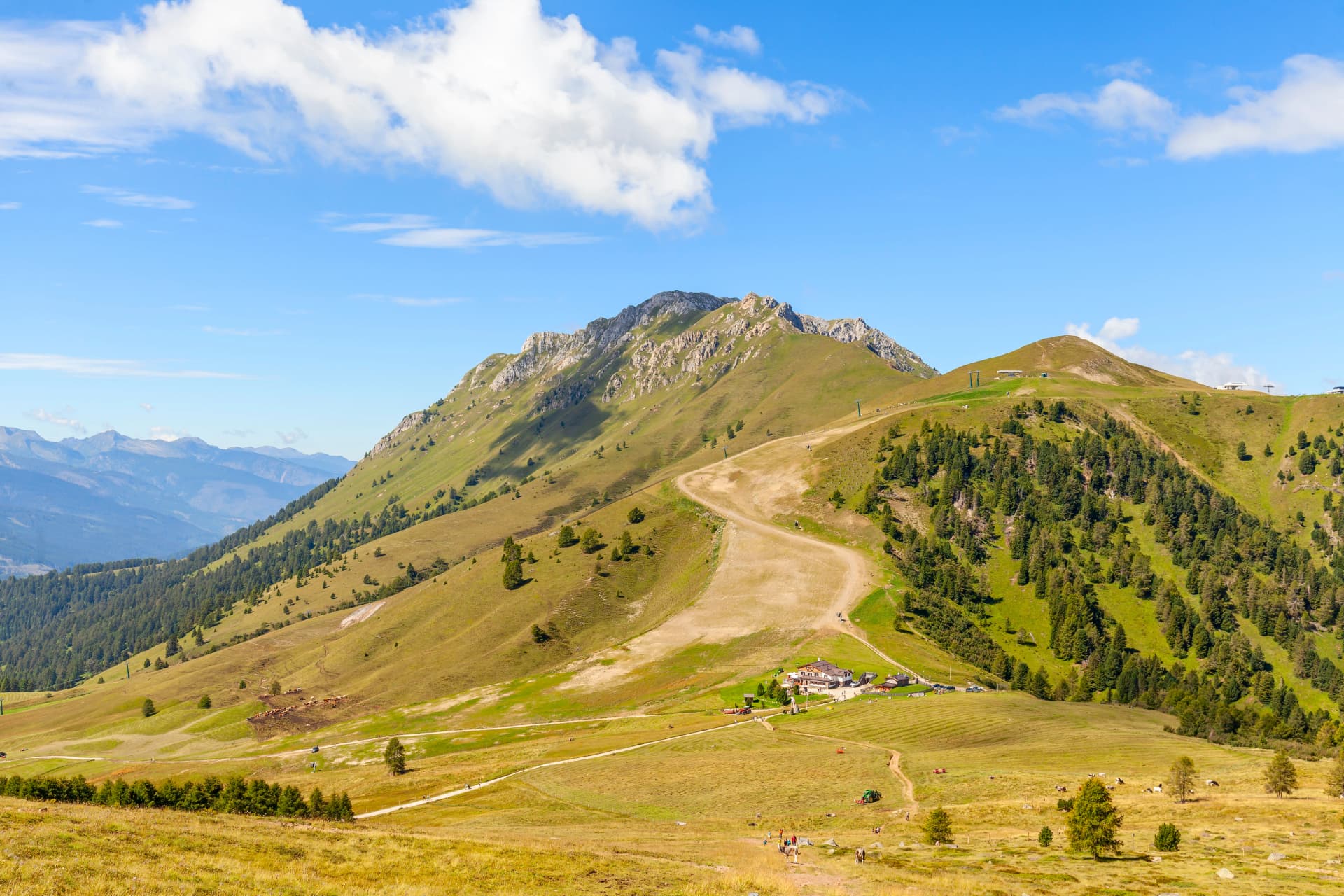 panorama of Italian Dolomites on a summer day