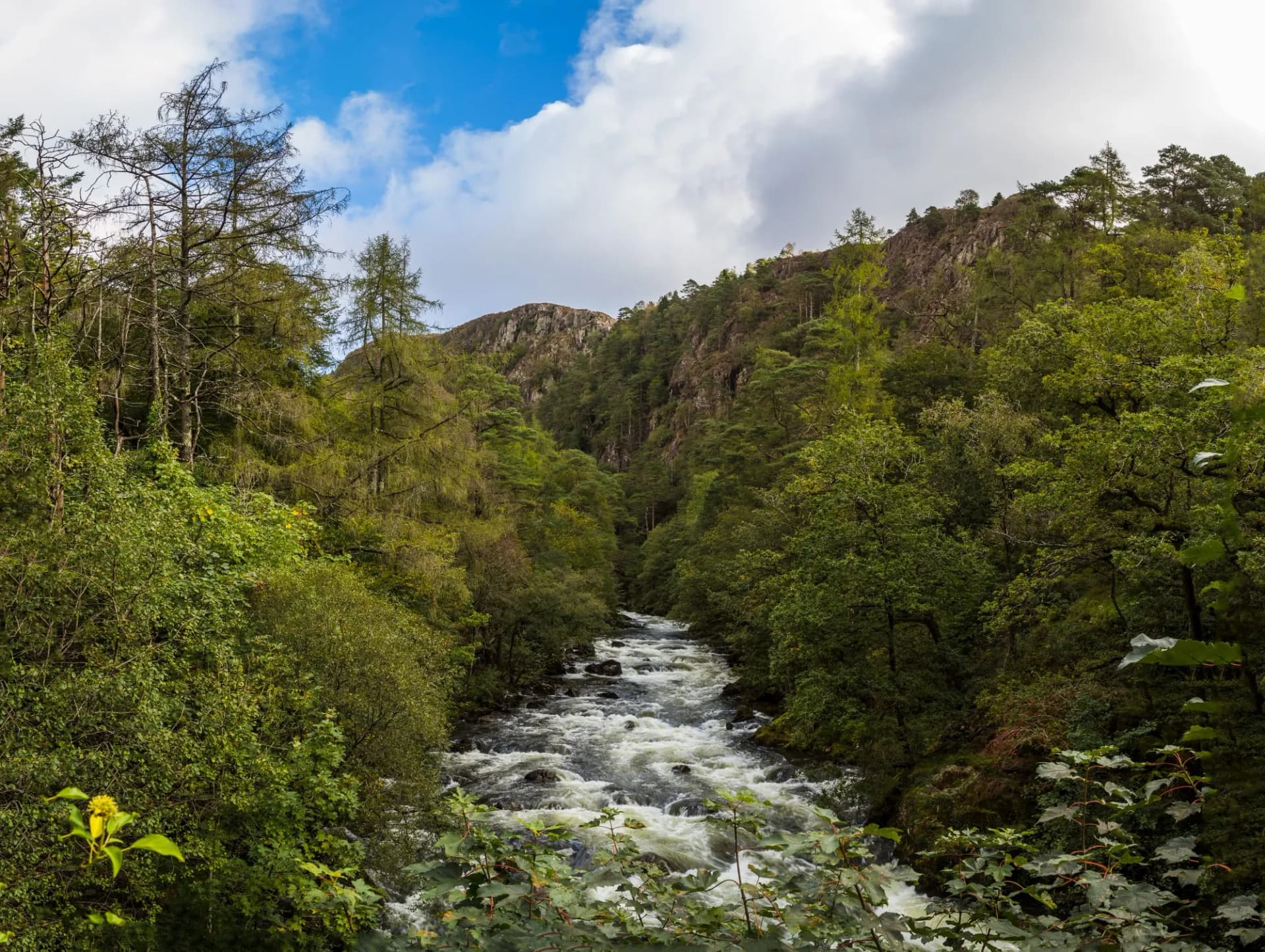 Glaslyn river, Snowdonia