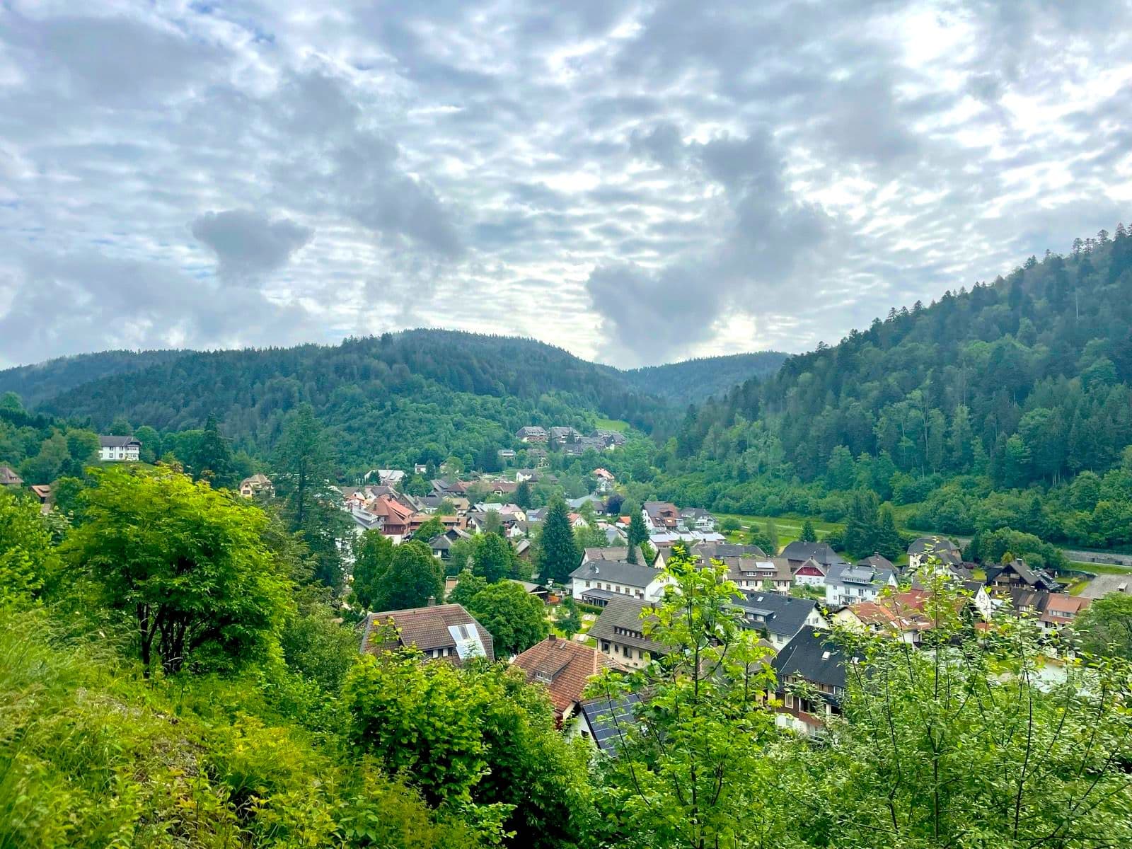 Village nestled in a lush green valley surrounded by dense forest under cloudy skies