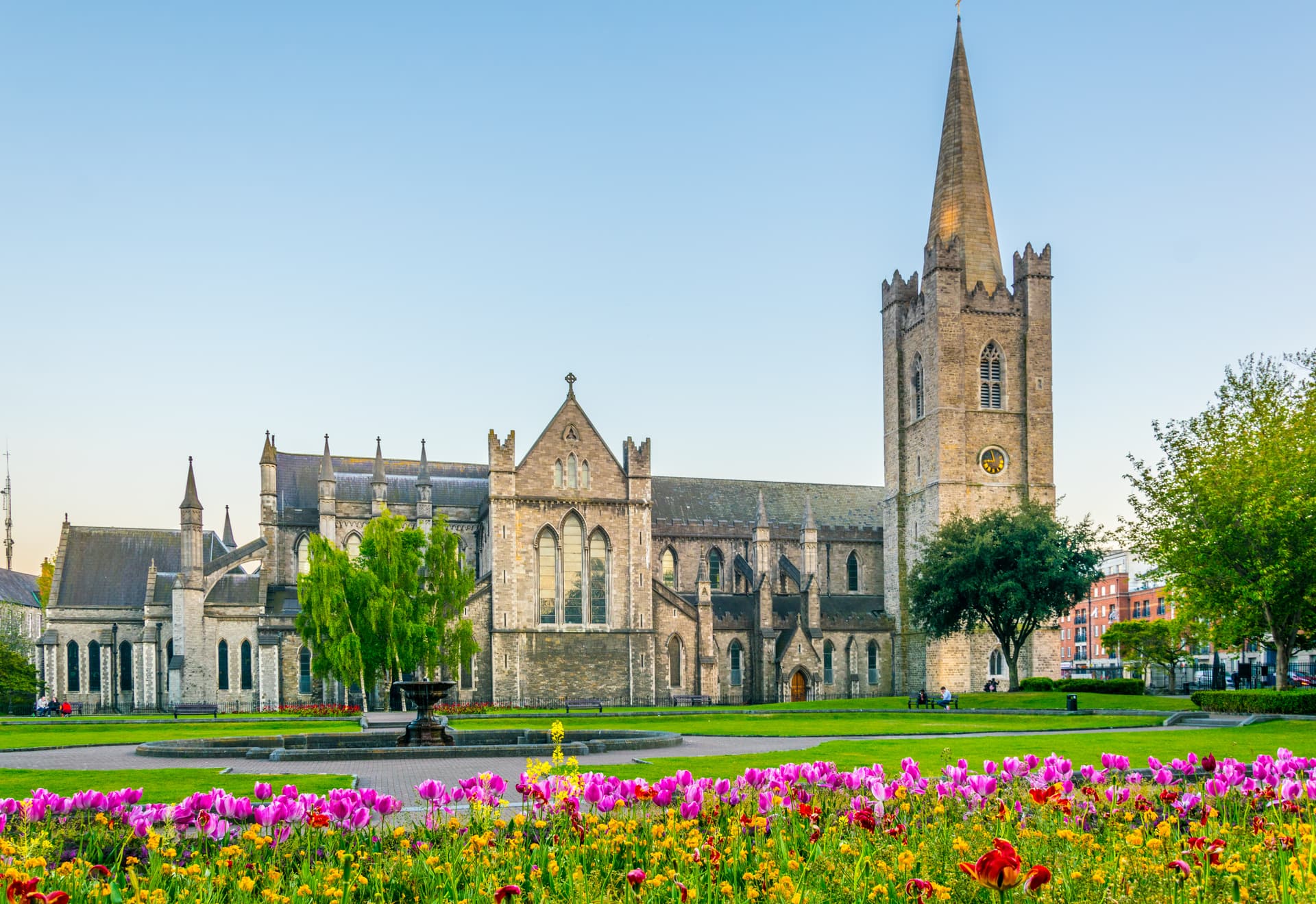 St Patrick's Cathedral in Dublin with spring tulips and green lawn.