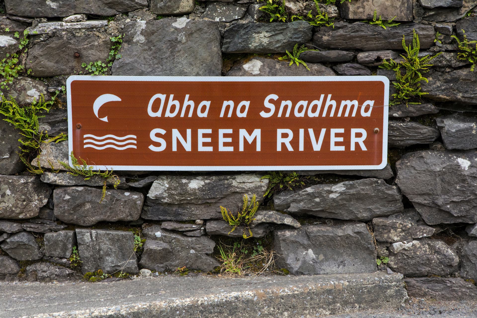 Sneem River bilingual sign mounted on a rustic stone wall with small ferns growing.