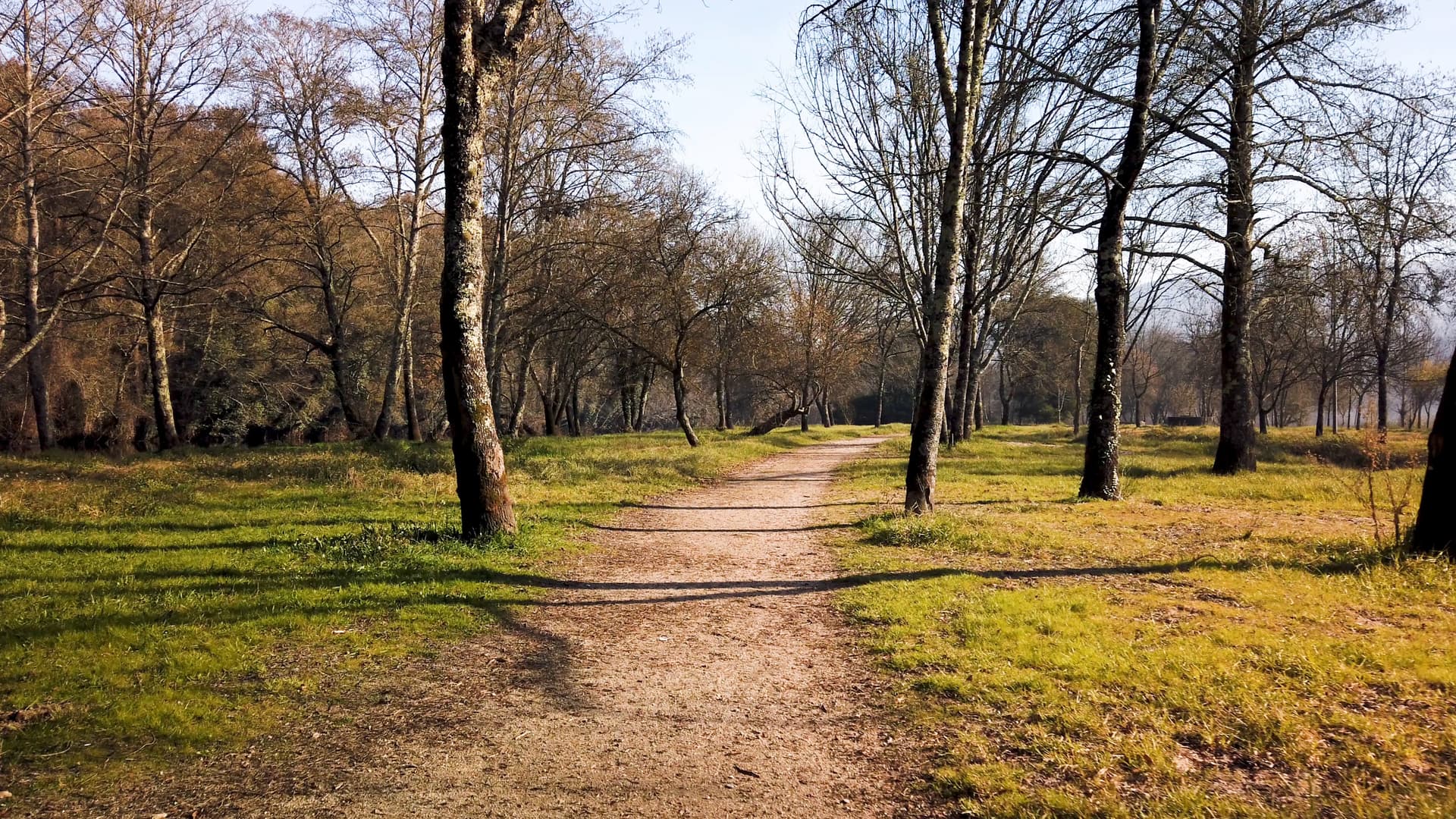 Dirt path winding through Jardim dos Poetas Garden with bare trees and green grass