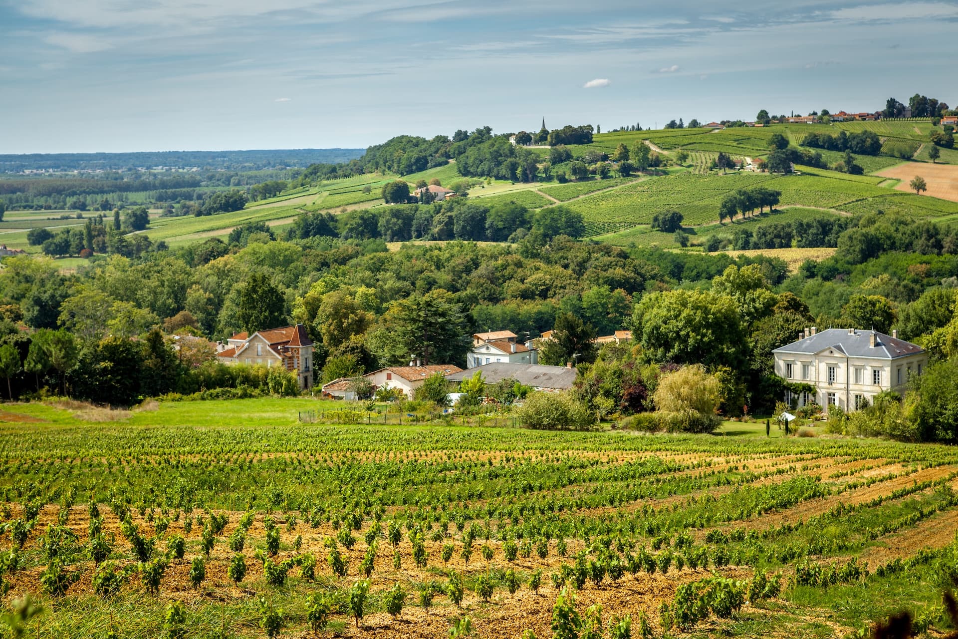 Vineyard rows in Mirandol village hills with scattered houses and lush green landscape.