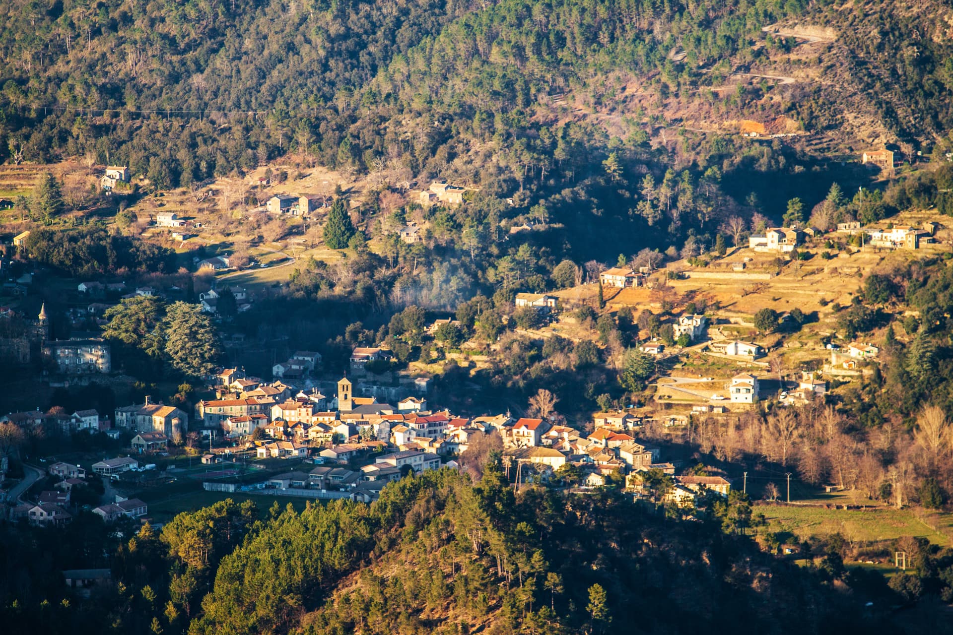 Scattered houses on a sunny, forested hillside in Saint-Étienne-Vallée-Française.
