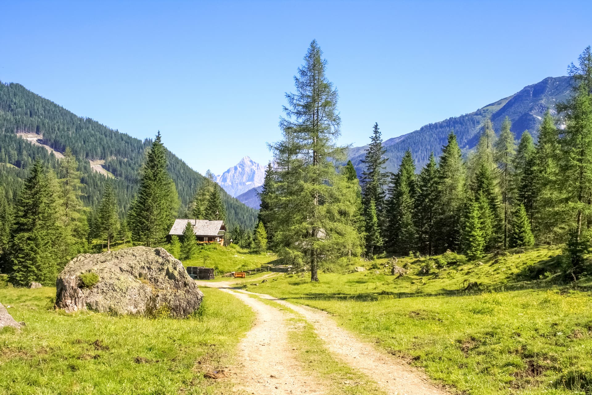 Dirt road leading to a wooden alpine hut nestled among pine trees with mountains in the background.