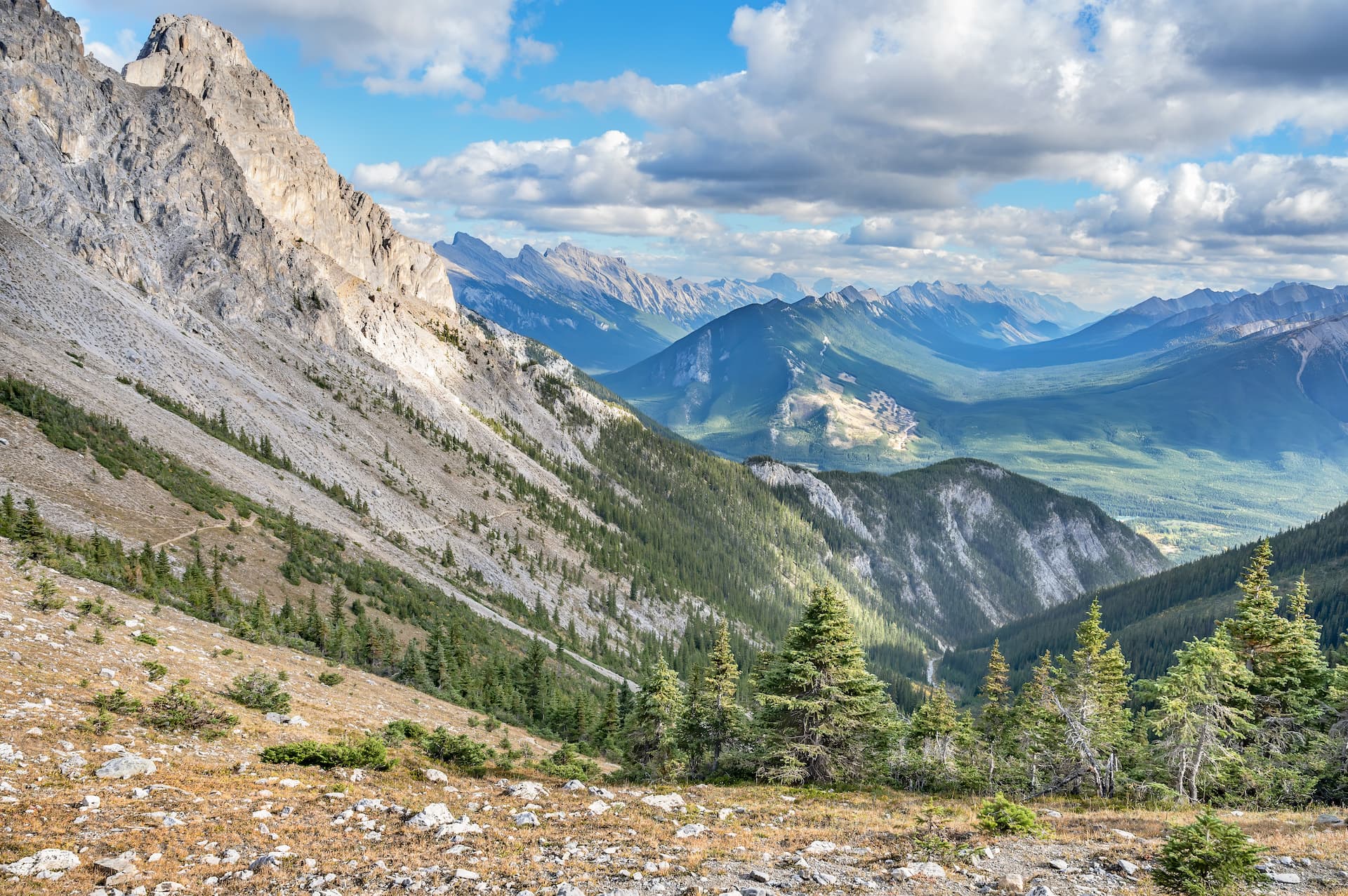 View from Cory Pass summit showing rocky slopes, pine trees, and distant forested mountain ranges under a cloudy blue sky.