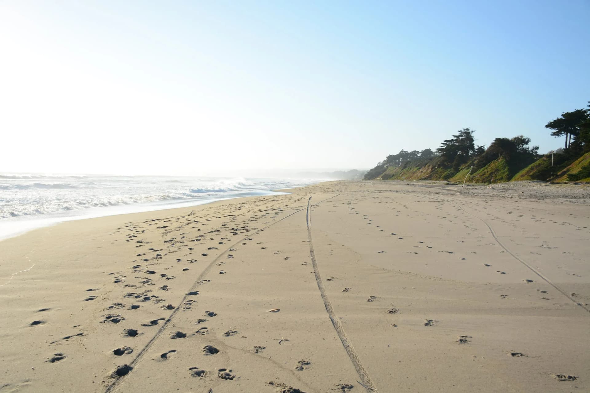 Sandy beach at Manresa Uplands State Beach with footprints, tire tracks, and waves crashing.