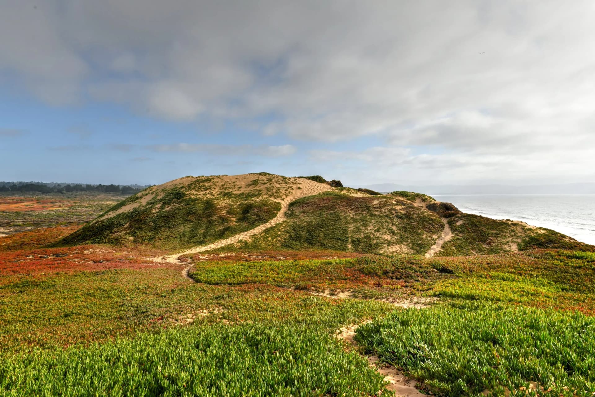 Fort Ord Dune State Park - California