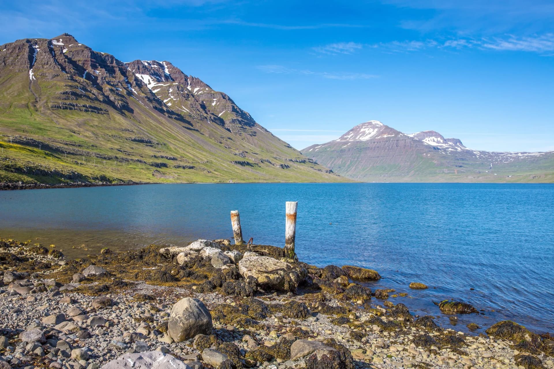 Old pier pilings on rocky shore of fjord with green, snow-capped mountains in Seydisfjordur.