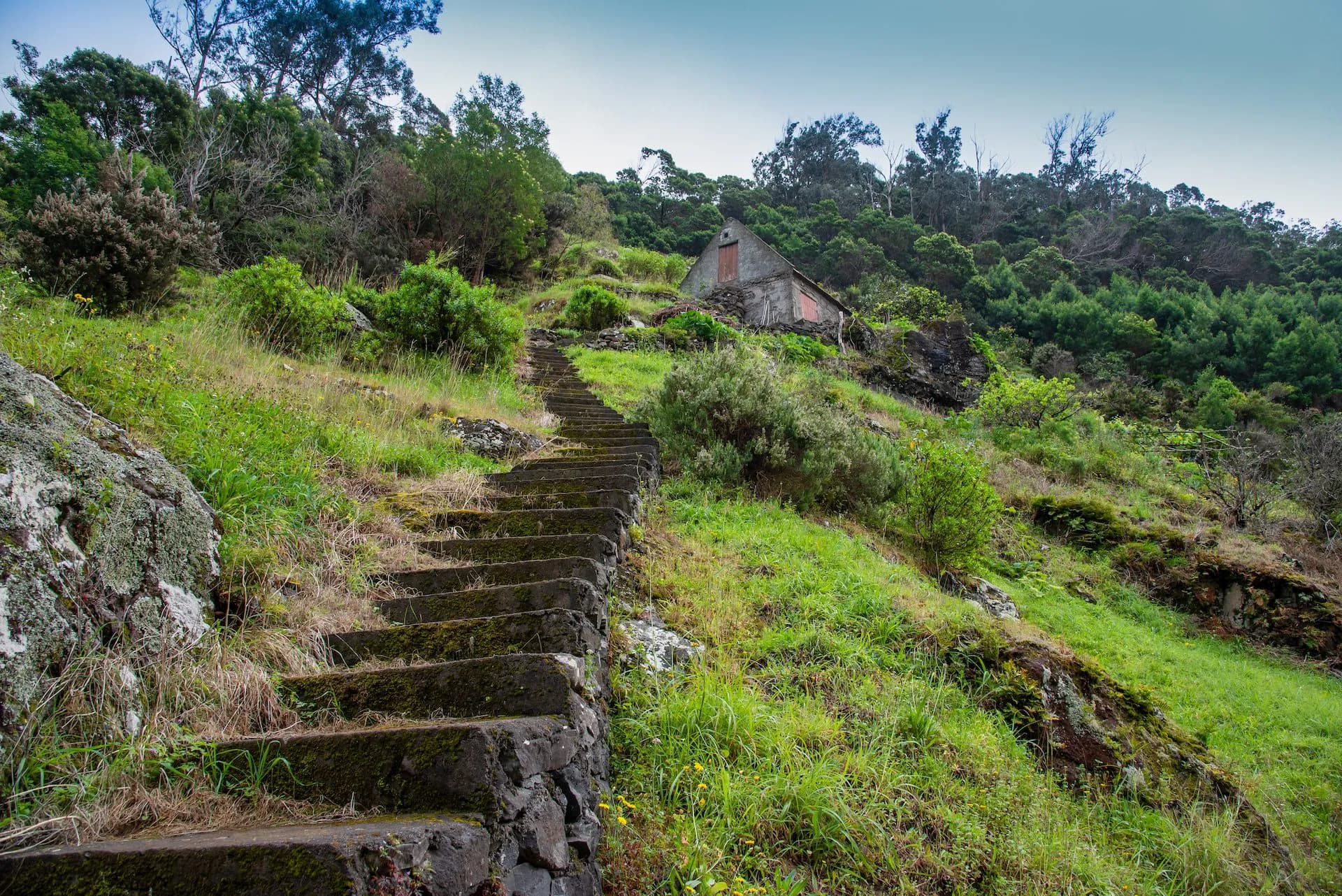 Stone steps ascending a steep, grassy hillside toward a small hut under a blue sky, Levada do Caniçal.