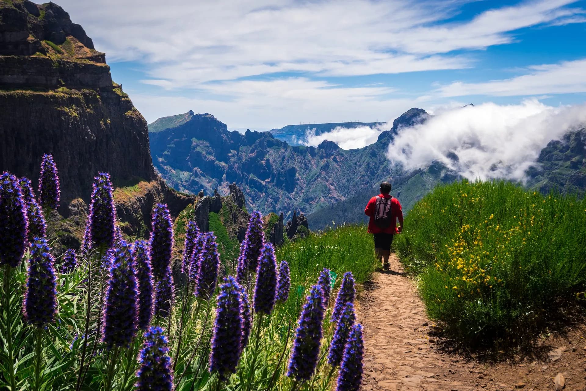 Hiker walking on dirt path past purple flowers with view of Madeira mountains and clouds