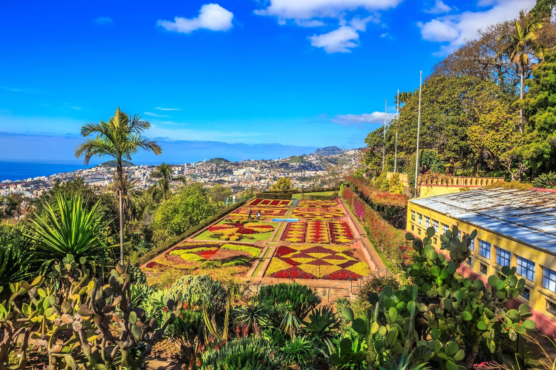 Botanical garden with colorful patterned flowerbeds overlooking Funchal and the sea.