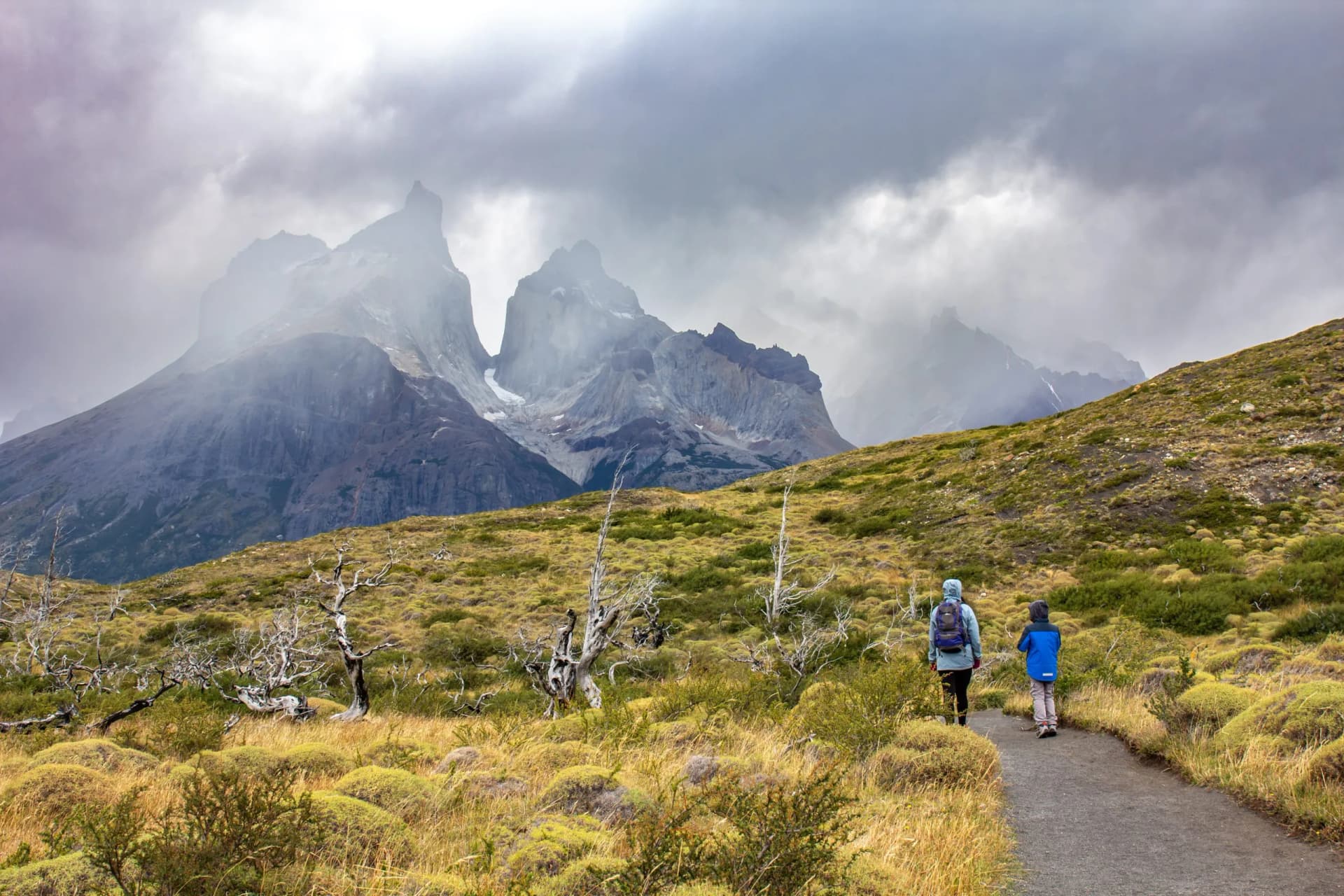 Hikers on trail toward dramatic, cloud-shrouded mountains with dead trees in foreground.