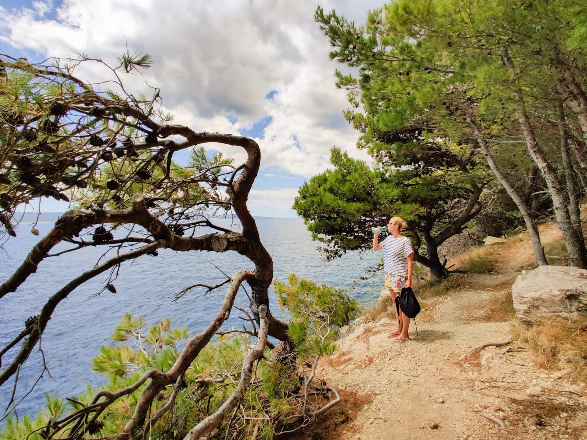 Hiking along Croatian island coast with pine trees overlooking deep blue sea