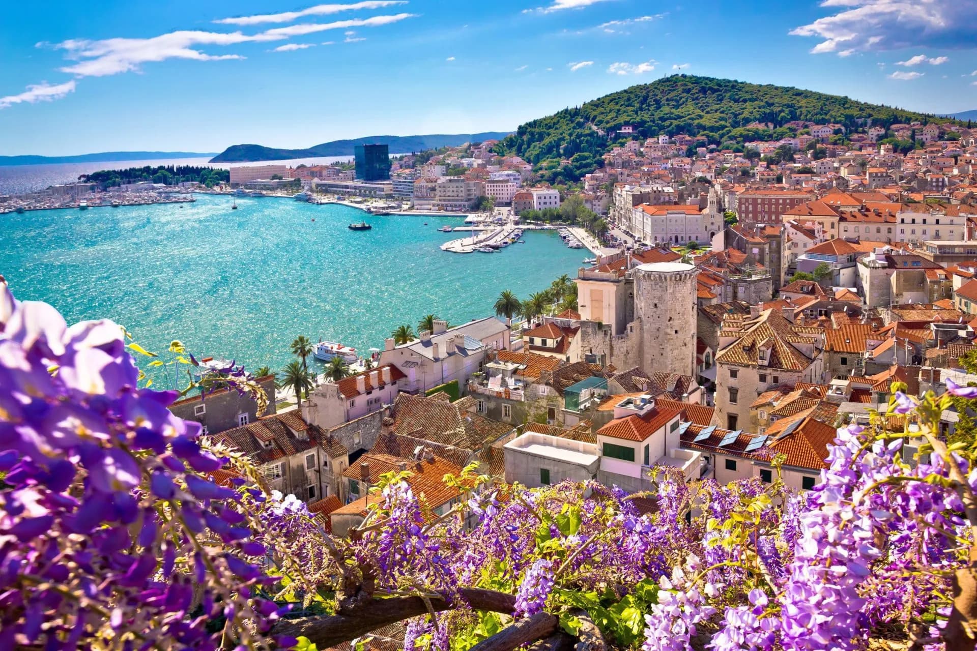 Coastal city view over terracotta roofs and turquoise water framed by purple wisteria flowers.