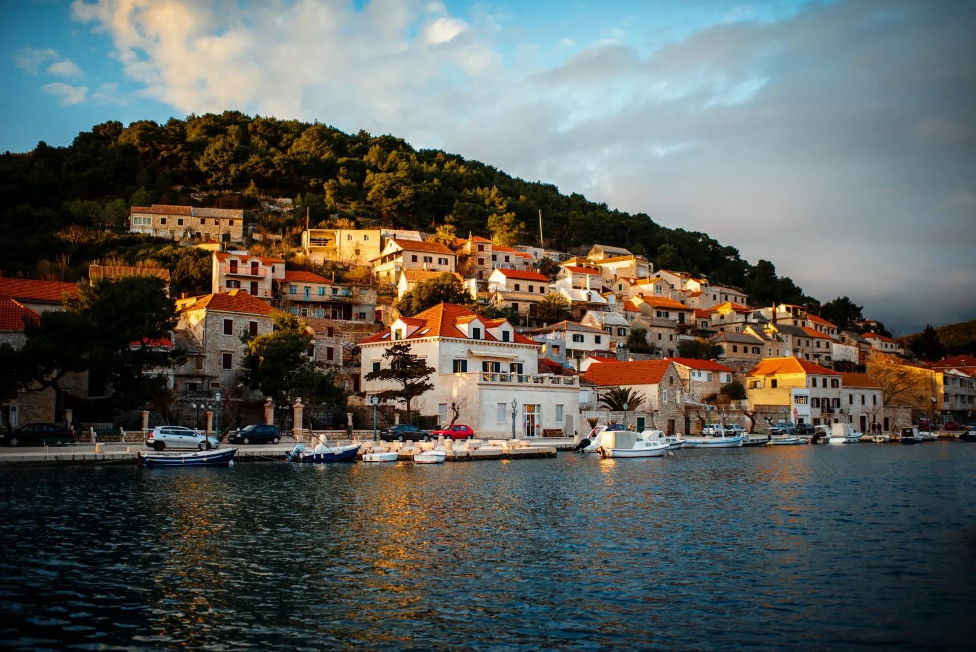 Coastal town with terracotta roofs climbing a forested hill above docked boats on dark water.
