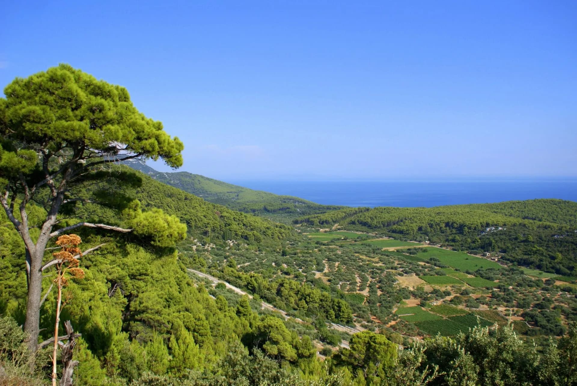 Dense green forest and cultivated valley overlooking the blue sea from Korčula.