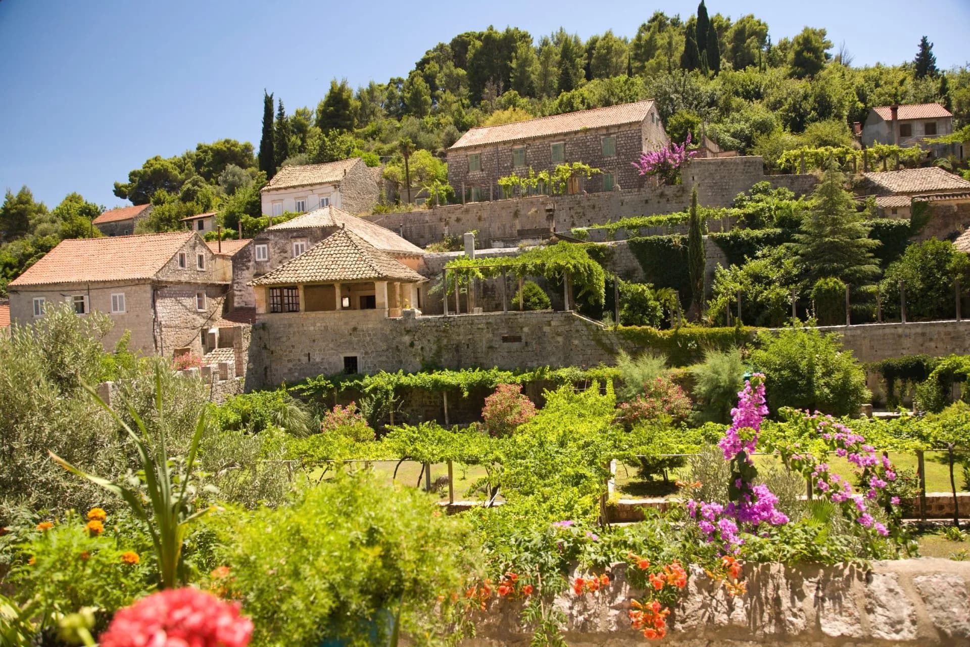Stone houses with terracotta roofs built into a lush green hillside in Sudjurađ fishing village.