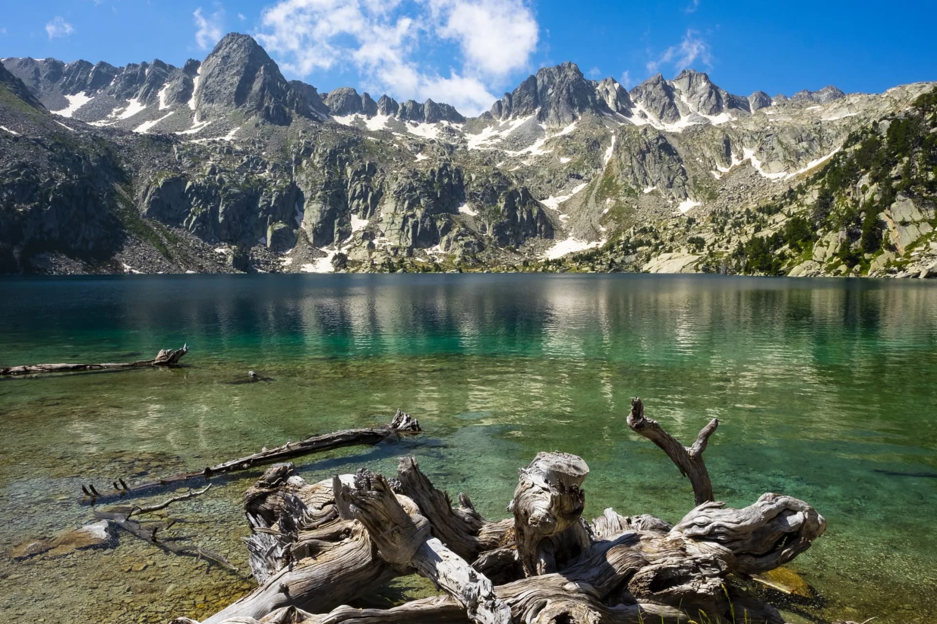Tree in the water of the Black Lake, Aiguestortes National Park