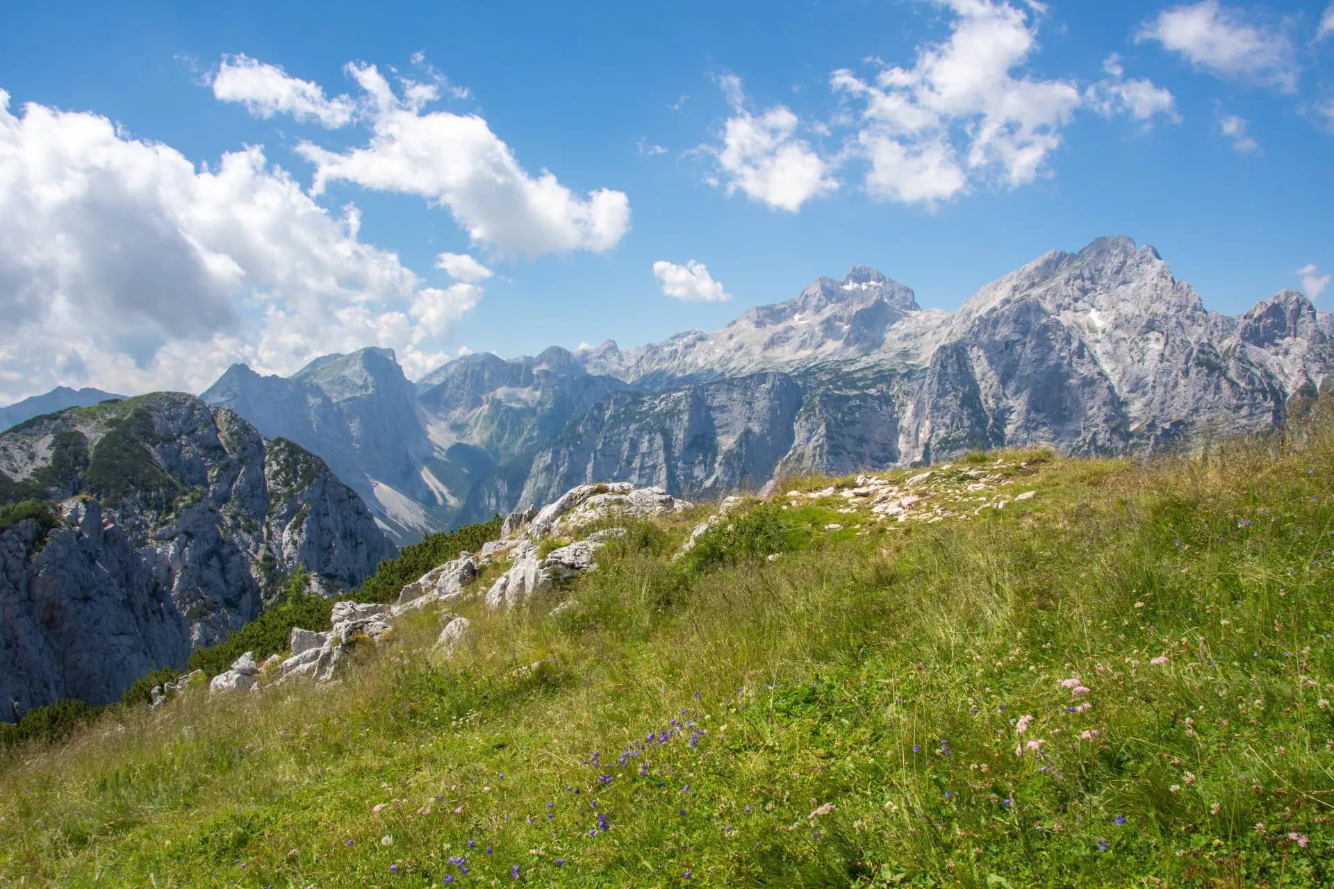 Alpine meadow with wildflowers overlooking rugged, rocky mountains under a blue sky.