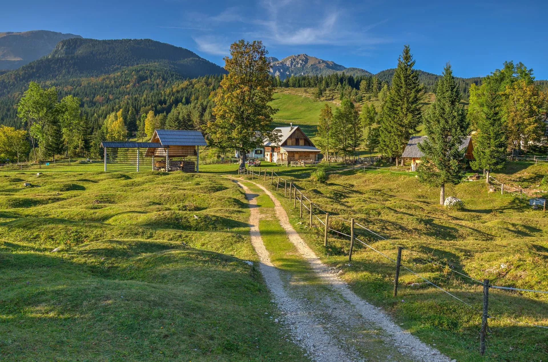 Dirt path leading to wooden alpine cabins surrounded by green hills and mountains.