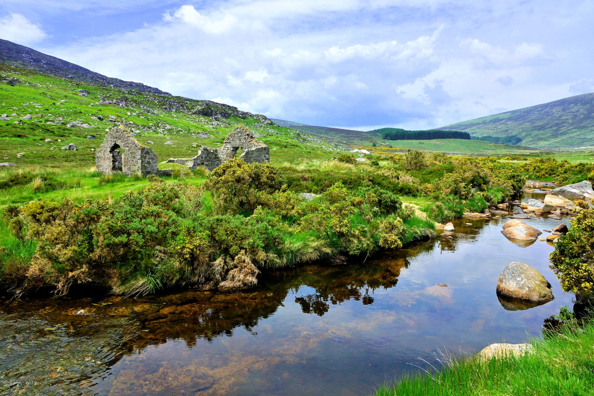 Stone ruins beside a clear stream flowing through a green, hilly landscape with yellow gorse bushes.