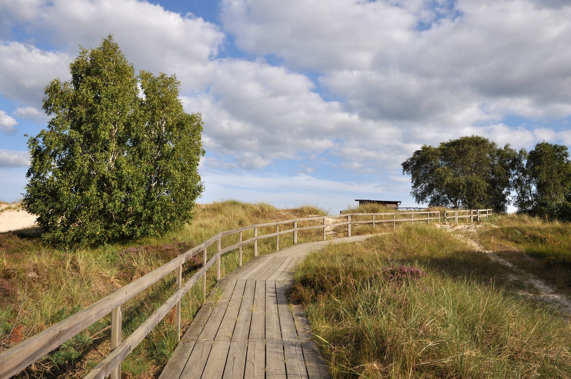 Wooden boardwalk with railing through grassy dunes under a cloudy blue sky.